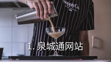 1. 泉城通网站