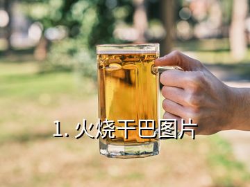 1. 火烧干巴图片