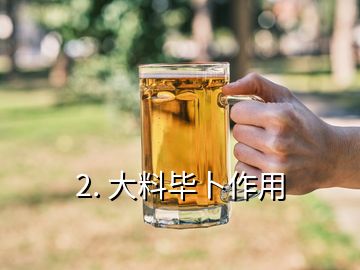 2. 大料毕卜作用