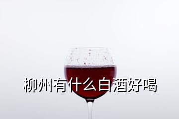 柳州有什么白酒好喝