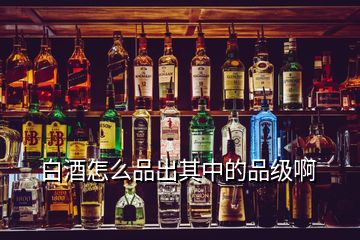 白酒怎么品出其中的品级啊