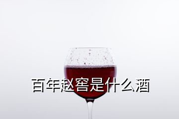 百年赵窖是什么酒