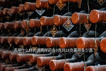 选用什么样的酒两样药各9克共18克需用多少酒