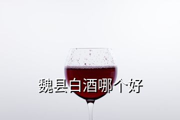 魏县白酒哪个好