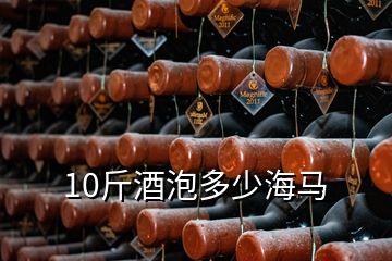 10斤酒泡多少海马