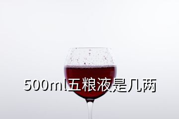 500ml五粮液是几两