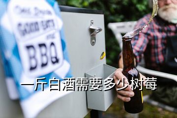 一斤白酒需要多少树莓