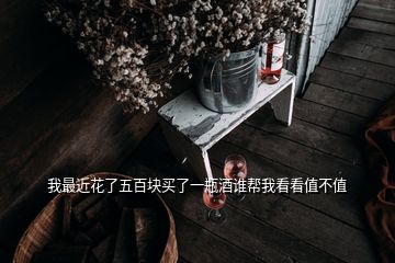 我最近花了五百块买了一瓶酒谁帮我看看值不值