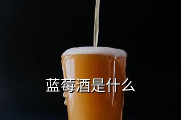 蓝莓酒是什么