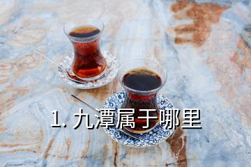 1. 九潭属于哪里