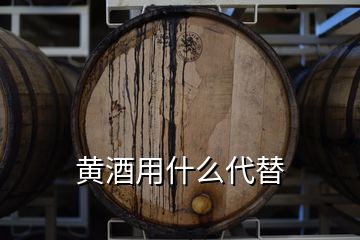 黄酒用什么代替