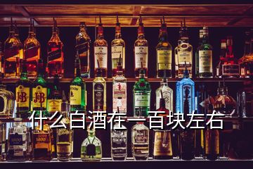 什么白酒在一百块左右