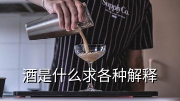 酒是什么求各种解释