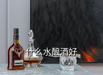 什么水酿酒好