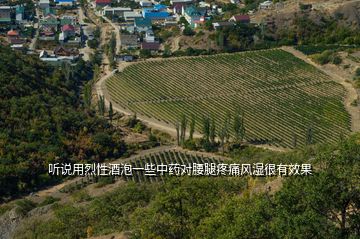 听说用烈性酒泡一些中药对腰腿疼痛风湿很有效果