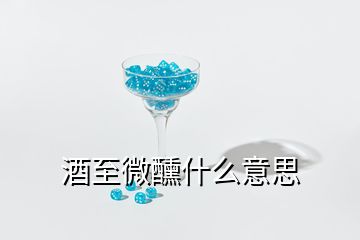 酒至微醺什么意思