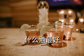 什么酒最好