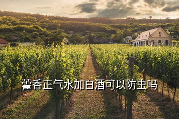 藿香正气水加白酒可以防虫吗