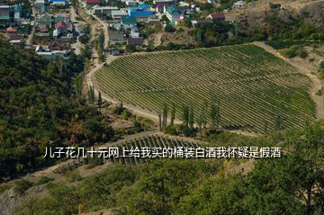 儿子花几十元网上给我买的桶装白酒我怀疑是假酒