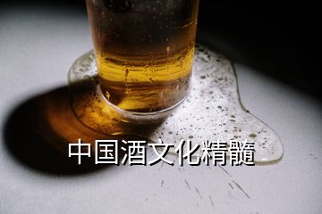 中国酒文化精髓