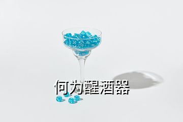 何为醒酒器