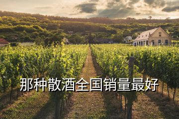 那种散酒全国销量最好