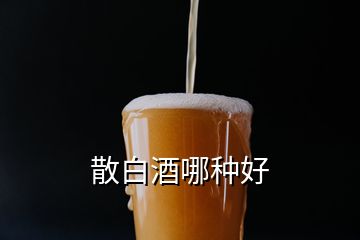 散白酒哪种好