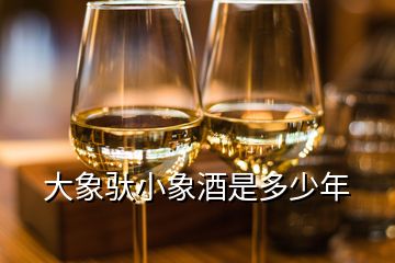 大象驮小象酒是多少年