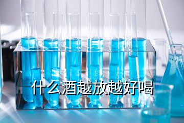 什么酒越放越好喝