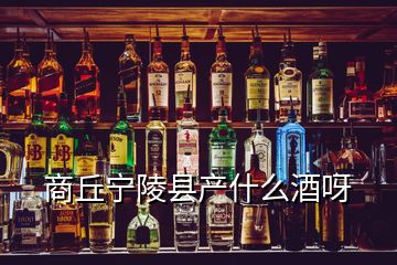 商丘宁陵县产什么酒呀