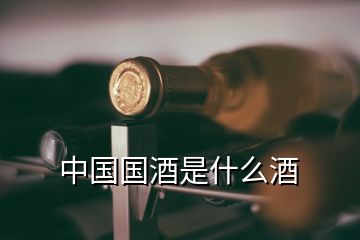 中国国酒是什么酒