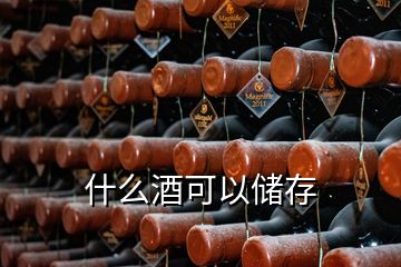 什么酒可以储存