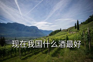 现在我国什么酒最好