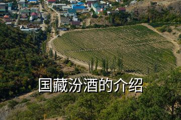国藏汾酒的介绍