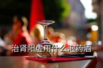 治肾阳虚用什么泡药酒