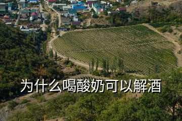 为什么喝酸奶可以解酒