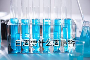 白酒要什么酒最香