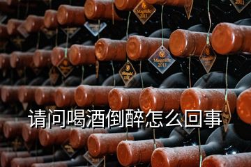 请问喝酒倒醉怎么回事