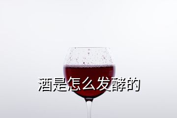 酒是怎么发酵的