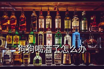 狗狗喝酒了怎么办