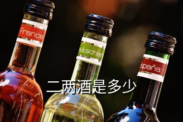 二两酒是多少