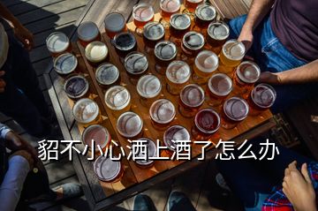 貂不小心洒上酒了怎么办