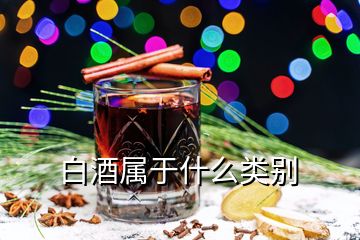 白酒属于什么类别