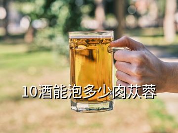 10酒能泡多少肉苁蓉