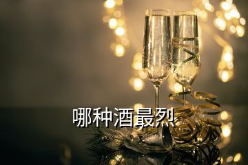 哪种酒最烈