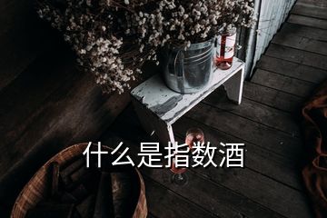 什么是指数酒