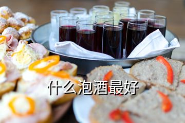 什么泡酒最好