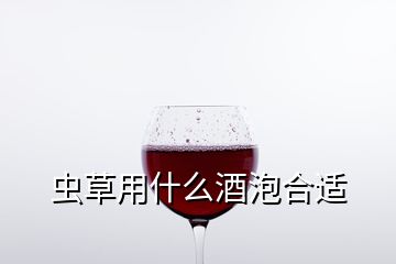 虫草用什么酒泡合适