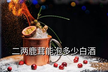 二两鹿茸能泡多少白酒