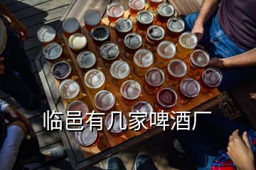 临邑有几家啤酒厂